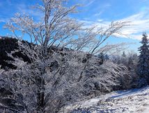 "Je connais les hivers ... je connais le froid"