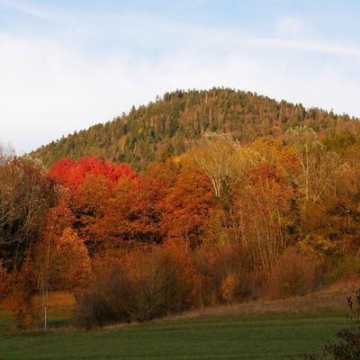 Le 5 novembre 2025 : Retour à la maison