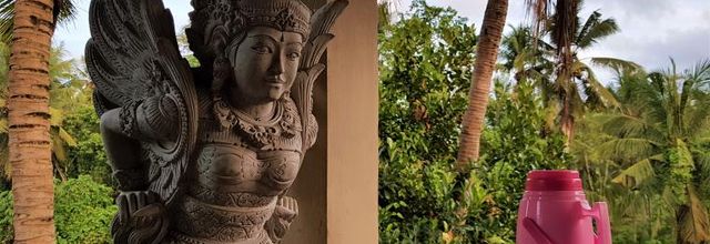  22 Août 2018 - Ubud Jalan Jalan 
