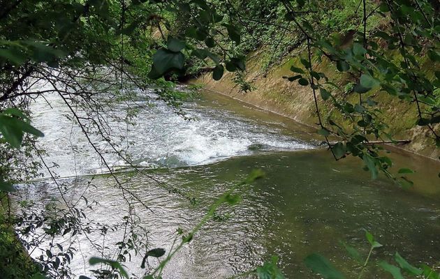 le parc de Pombonne à Bergerac - 5/5