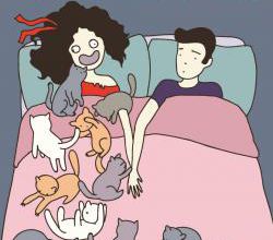 Chat contre humain