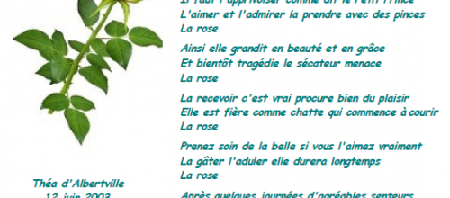 Coeur de rose - Théa d'Albertville