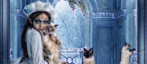  J'adore les chats...