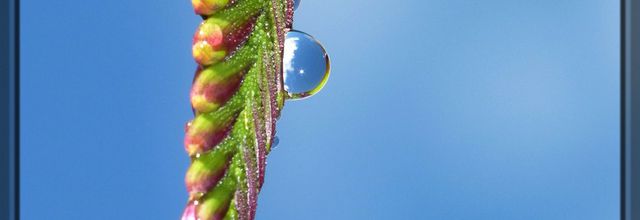 Goutte à goutte