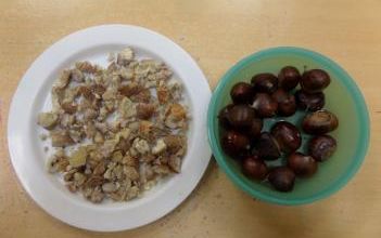 Dégustation de fruits d'automne