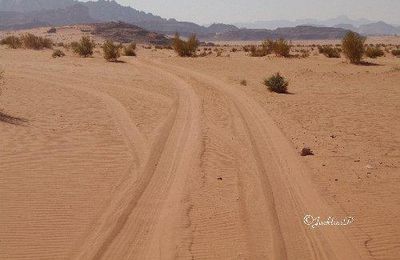 Jordanie (13) Wadi Rum 2