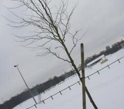 La neige selon Stephan et Maupassant!