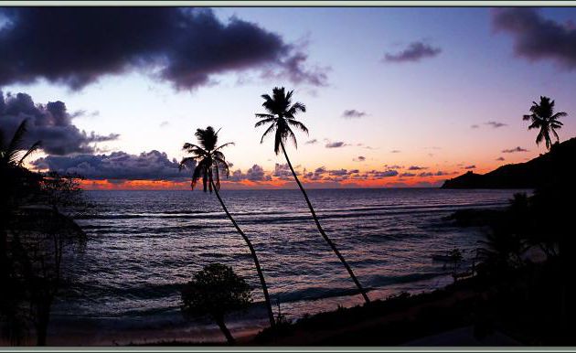 Un BONJOUR de l'île de Mahé (Seychelles) avec ce lever de soleil sur Anse Forbans (mon dernier....) 