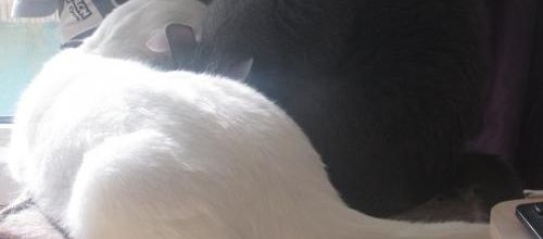 Moment tendresse 