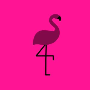 Bonte Games - Pink