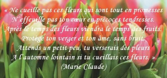 Citations en images : Les fleurs