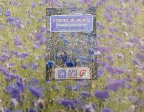bleuets pour se souvenir