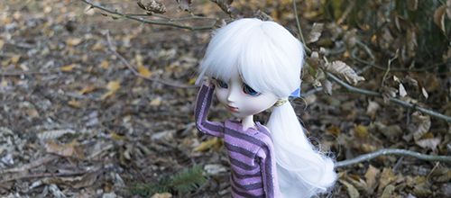 22]Sortie d'automne