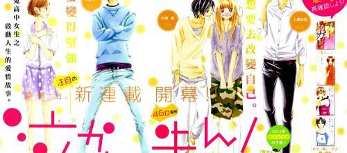 Nakanmon! ---> Mon avis