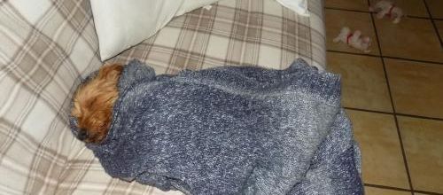 De plus en plus fatiguée