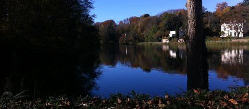Il y a une semaine, une jolie promenade ensoleillée au Domaine du Silex à Boitsfort