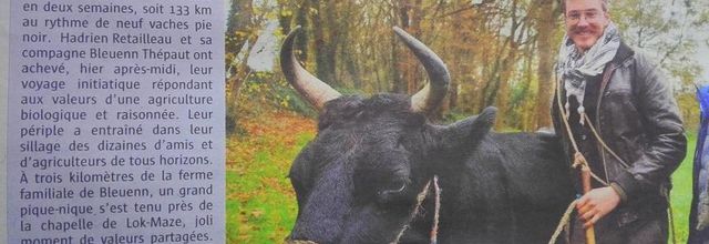 des nouvelles   de la transhumance 