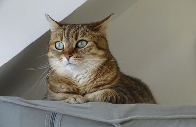 Dimanche c'est Quya