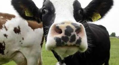Blagounettes du lundi ... !!!