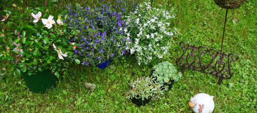 Chaalis : mon butin, mes merveilles