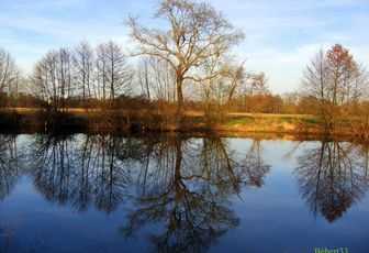 défi reflets d'Annie