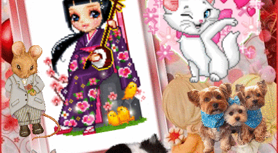 CHIENS CHATS OISEAUX
