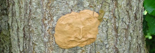 Arbres masqués