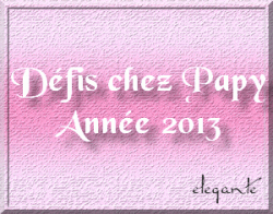 Mes défis 2013