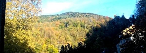 Couleurs d'automne