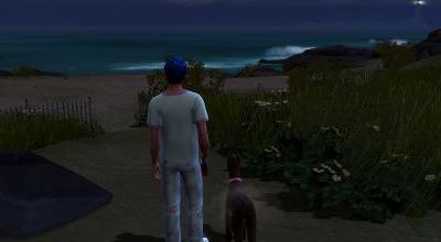 [Chiens & chats] Promenade nocturne dans la Crique du cavalier