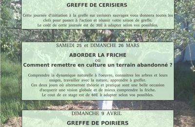 Les stages du printemps