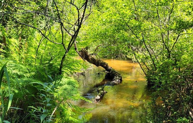 Week-end du 17 et 18 mai 2025 à Vieux-Boucau-les-Bains (40480)