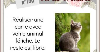 Passion Cartes Créatives#730 !