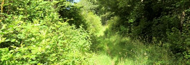 Les deux viaducs (suite)..