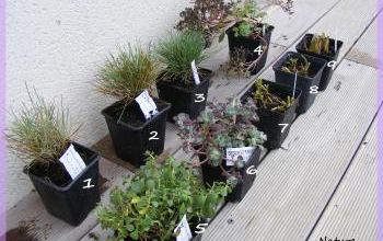 La commande est arrivée