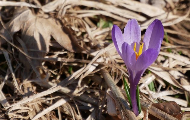 Le 17 avril 2022 : La découverte d'une ferme