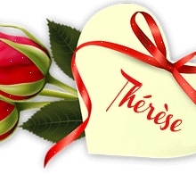 227 roses rouges