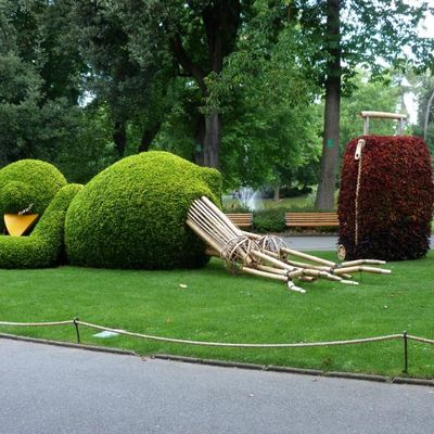 L'été au jardin des plantes  à  Nantes  (1)