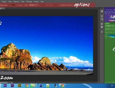 La zone de travail / Présentation des options