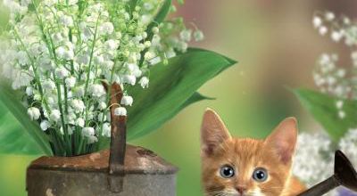 Un brin de muguet
