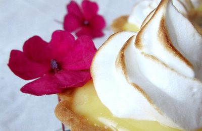 Tartelettes meringuées citron~pamplemousse