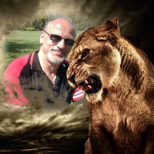 l oeil du tigre