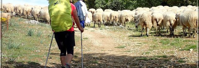 932 - Suite33 : -Notre Chemin vers St Jacques de Compostelle à travers ses anecdotes-