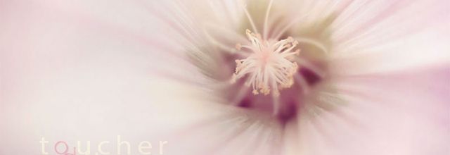 Jour 14 - Toucher du regard