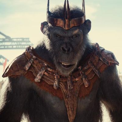 En kiosques depuis le 4 juin 2024