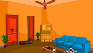 Escape007Games - Out house escape soluce