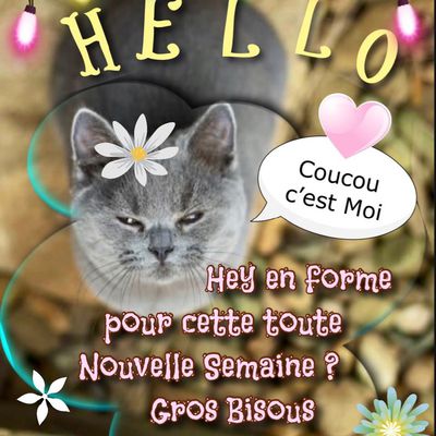 Coucou
