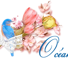 signatureanimee,oiseau bleu