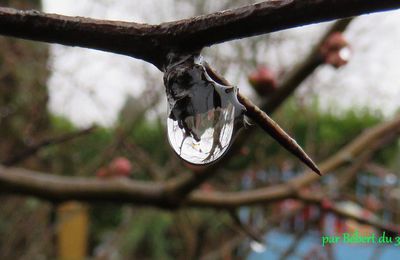 Reflets dans 1 goutte