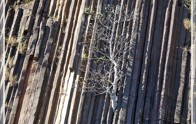 Orgues basaltiques - Grande Mitsio - Madagascar